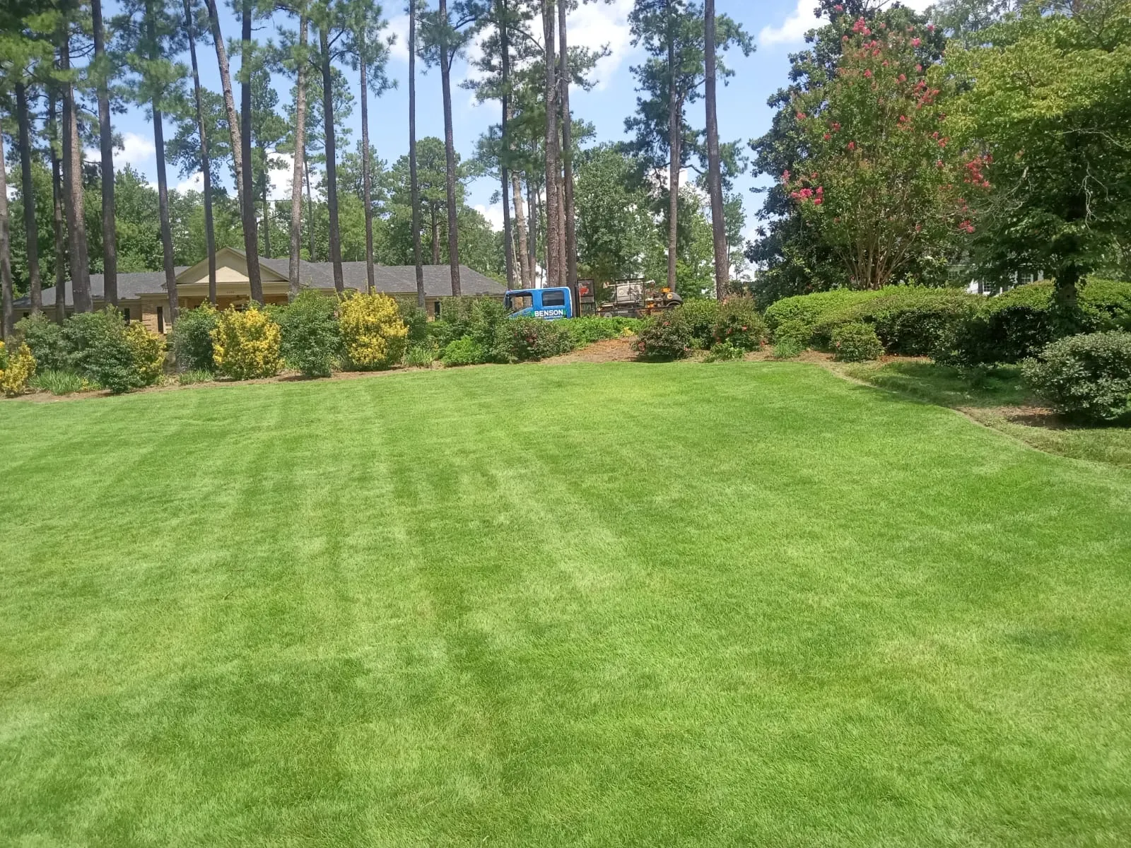 Lawn treatment service in Augusta, GA