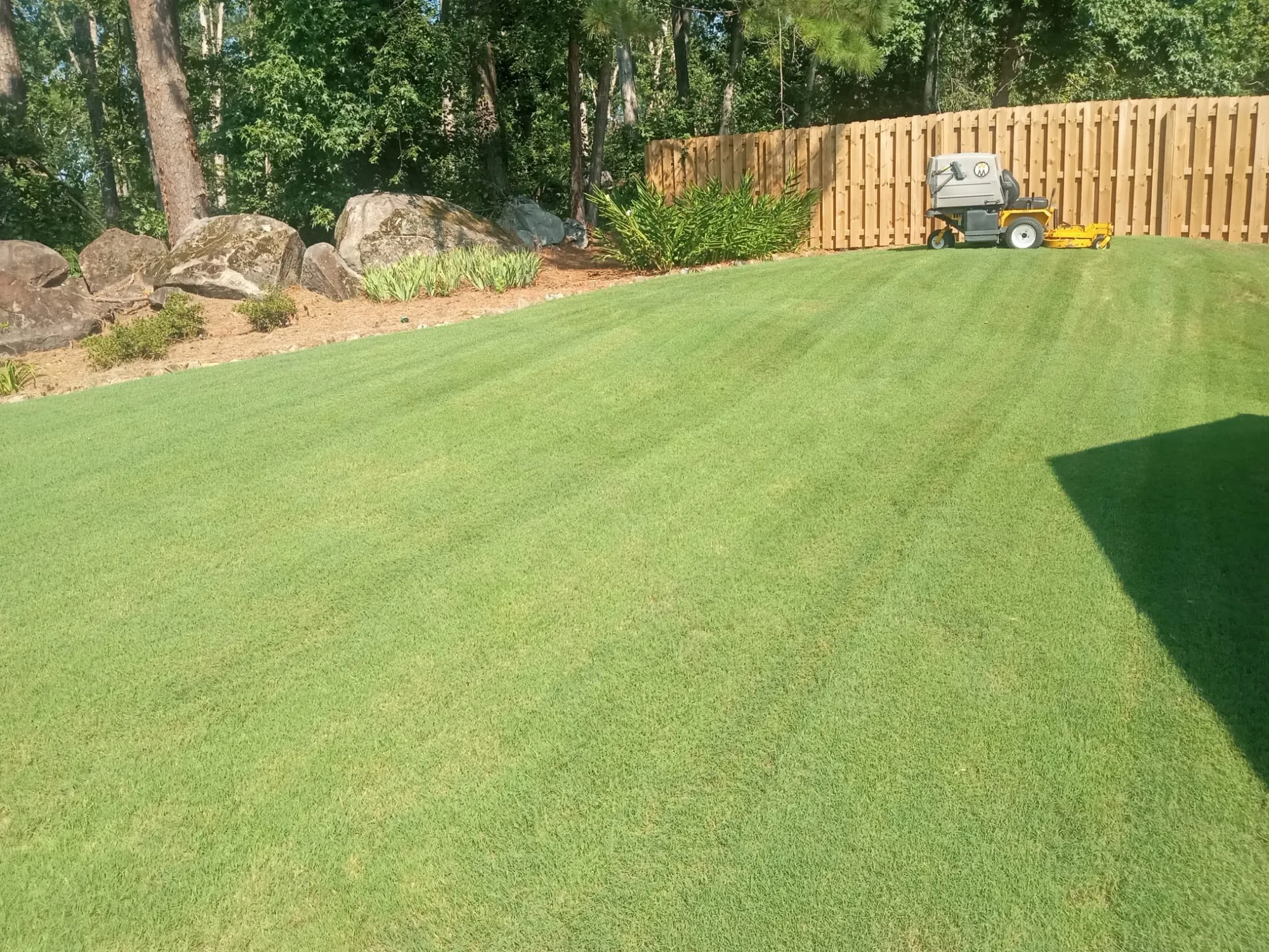 Lawn Fertilization in Augusta, GA — Martinez, GA
