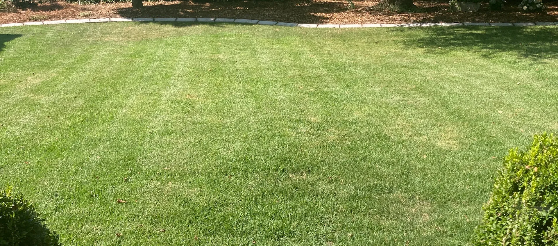 Lawn Care Maintenance in Augusta — Augusta, GA
