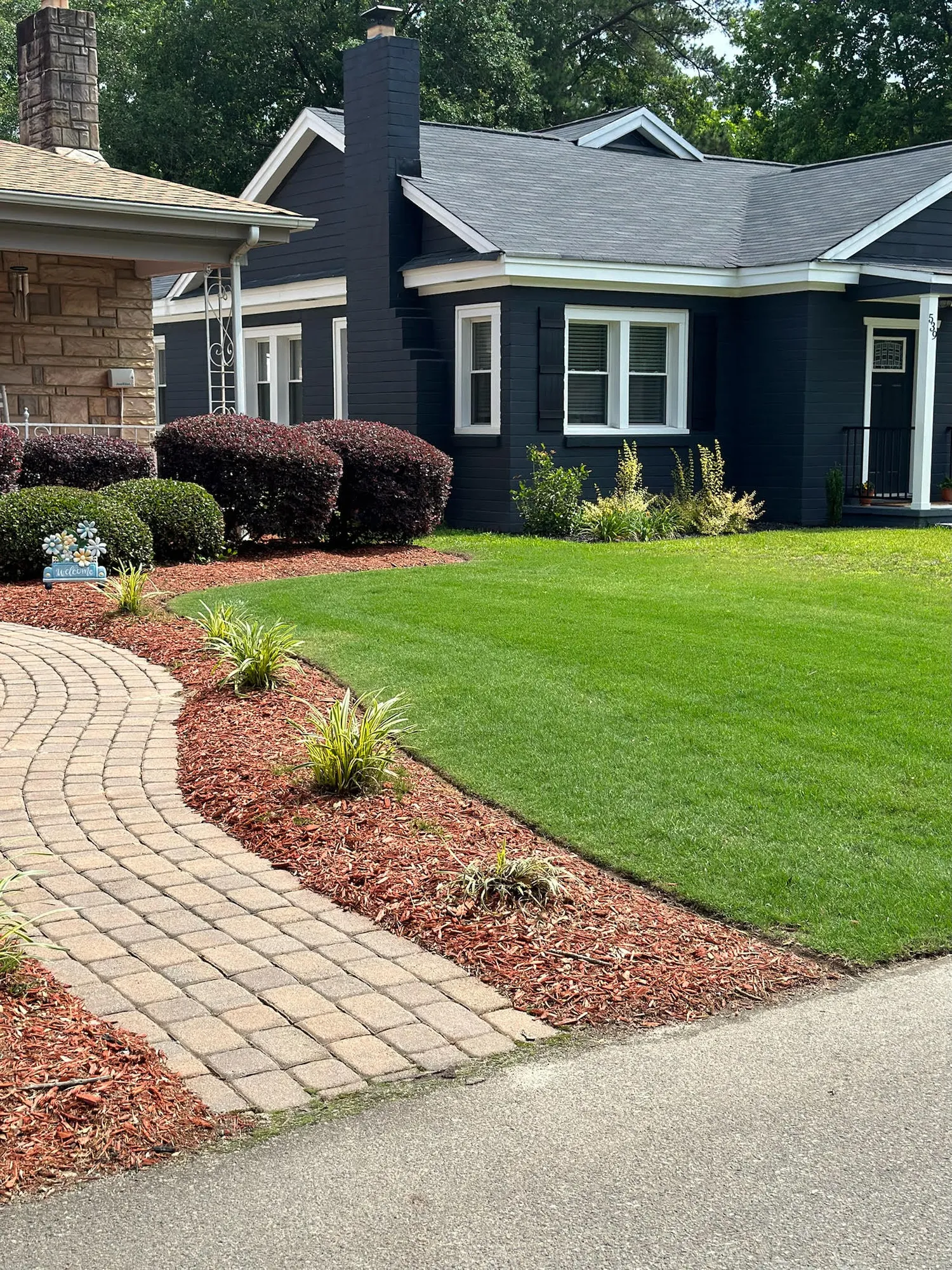 Lawn disease prevention and treatment