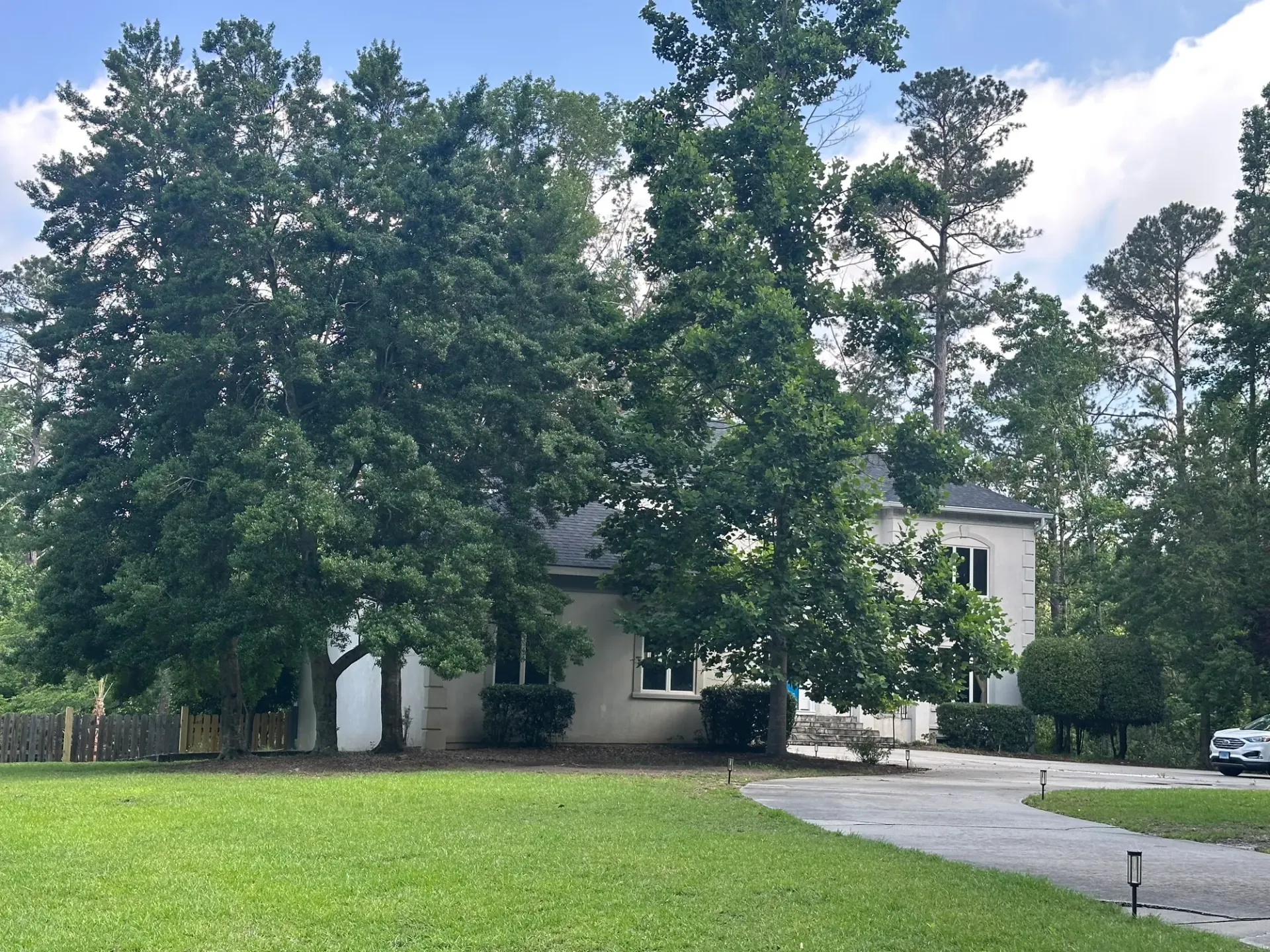 Tree and shrub care service