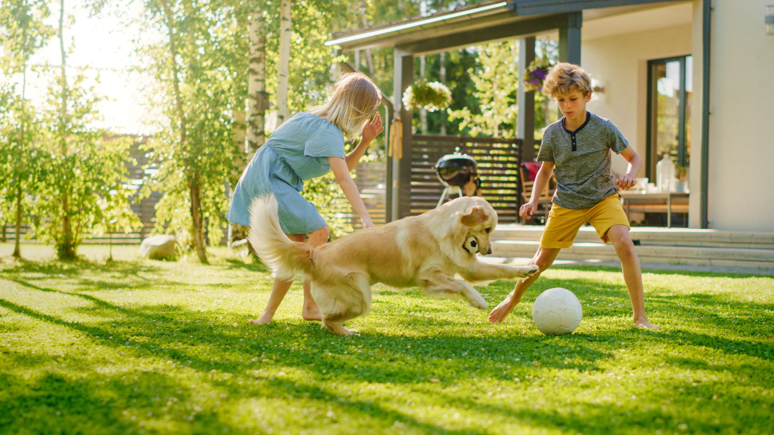 Family playing with dog on their healthy lawn in North Augusta SC