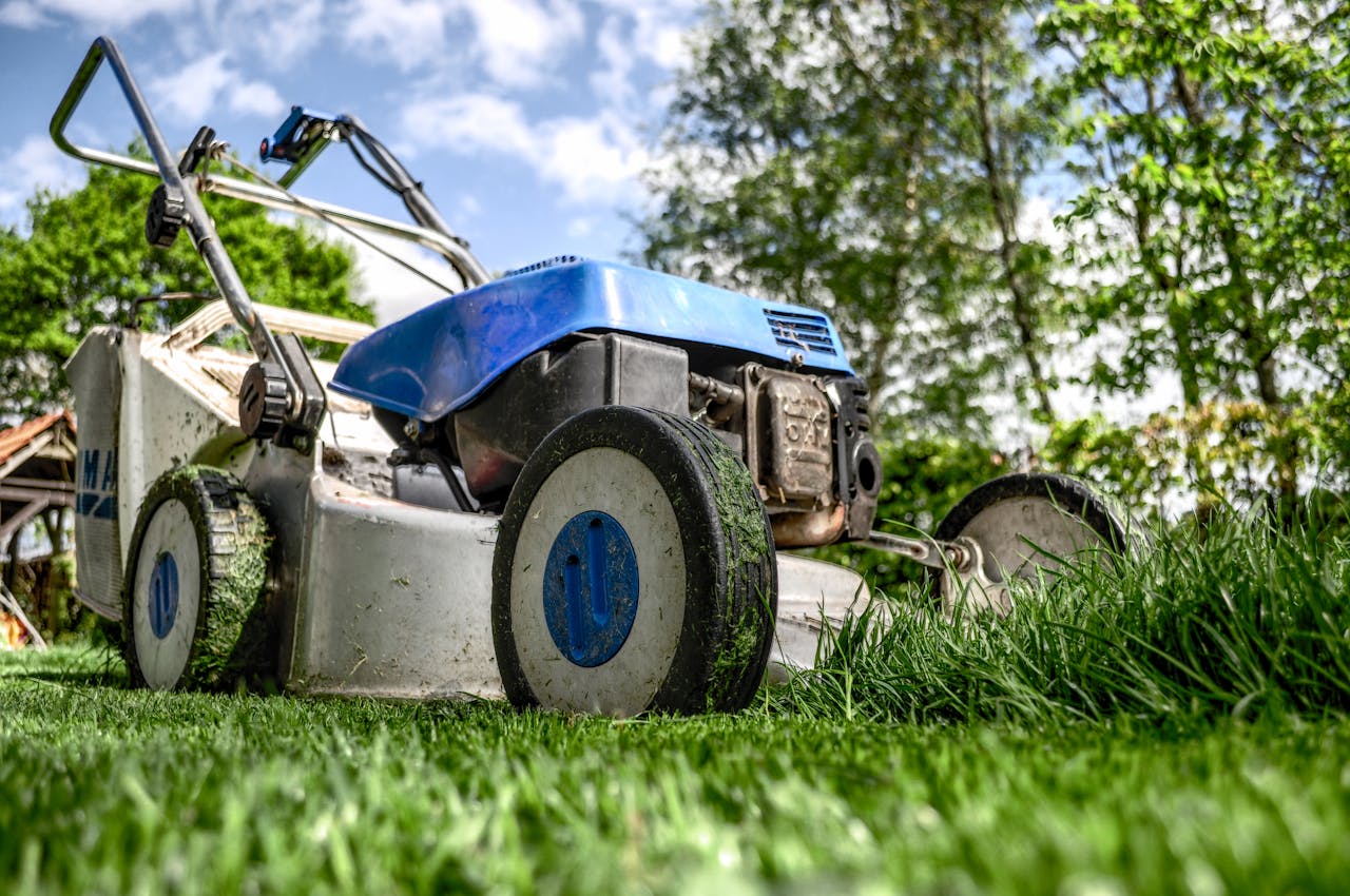 5 Essential Lawn Care Tools Every Homeowner Needs